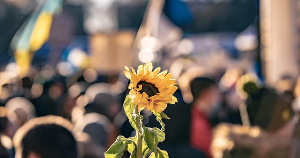 pflegehelden weareallukrainians 1 1 sunflower