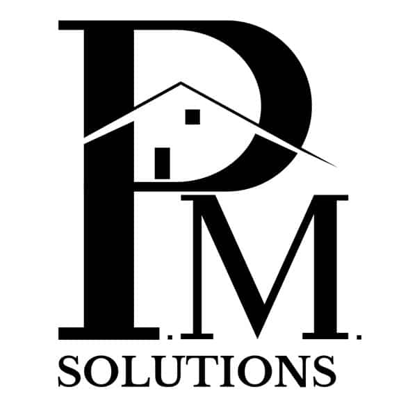Logo PM Solutions web